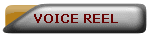 Voice_Over